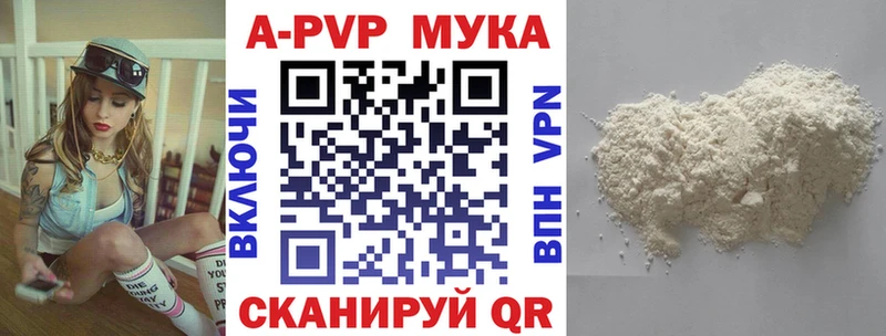 купить цена Нытва OMG как войти Альфа ПВП СК
