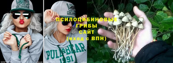 мдпв Арсеньев