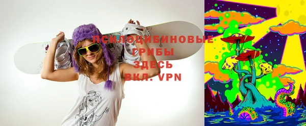 стафф Армянск